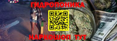 амф Гай