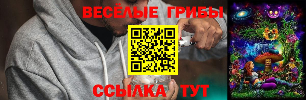 Псилоцибиновые грибы ЛСД Белгород