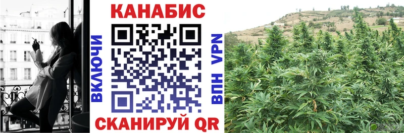 Бошки Шишки план  Белгород 
